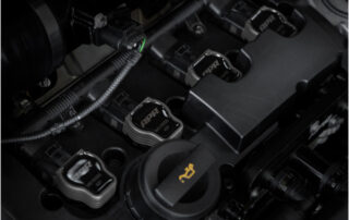 ms100209_004-scaled-600×600