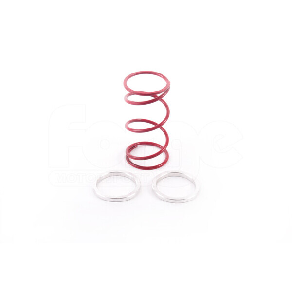 External Wastegate – FMWCS-RED